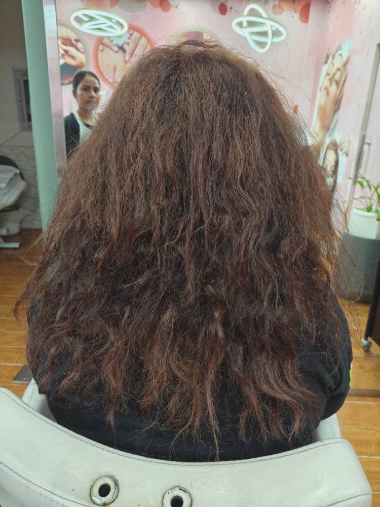 Keratin / Protein Smoothing Treatment & Layered Styling - Before